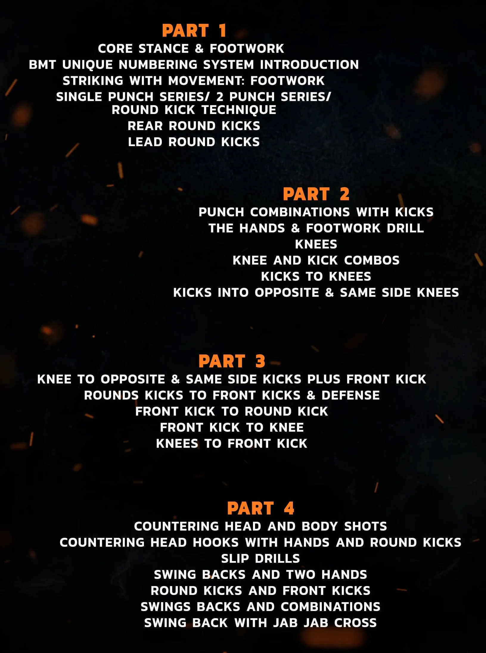 Bang Muay Thai Ninja Academy: Beginner - Year One by Duane Ludwig