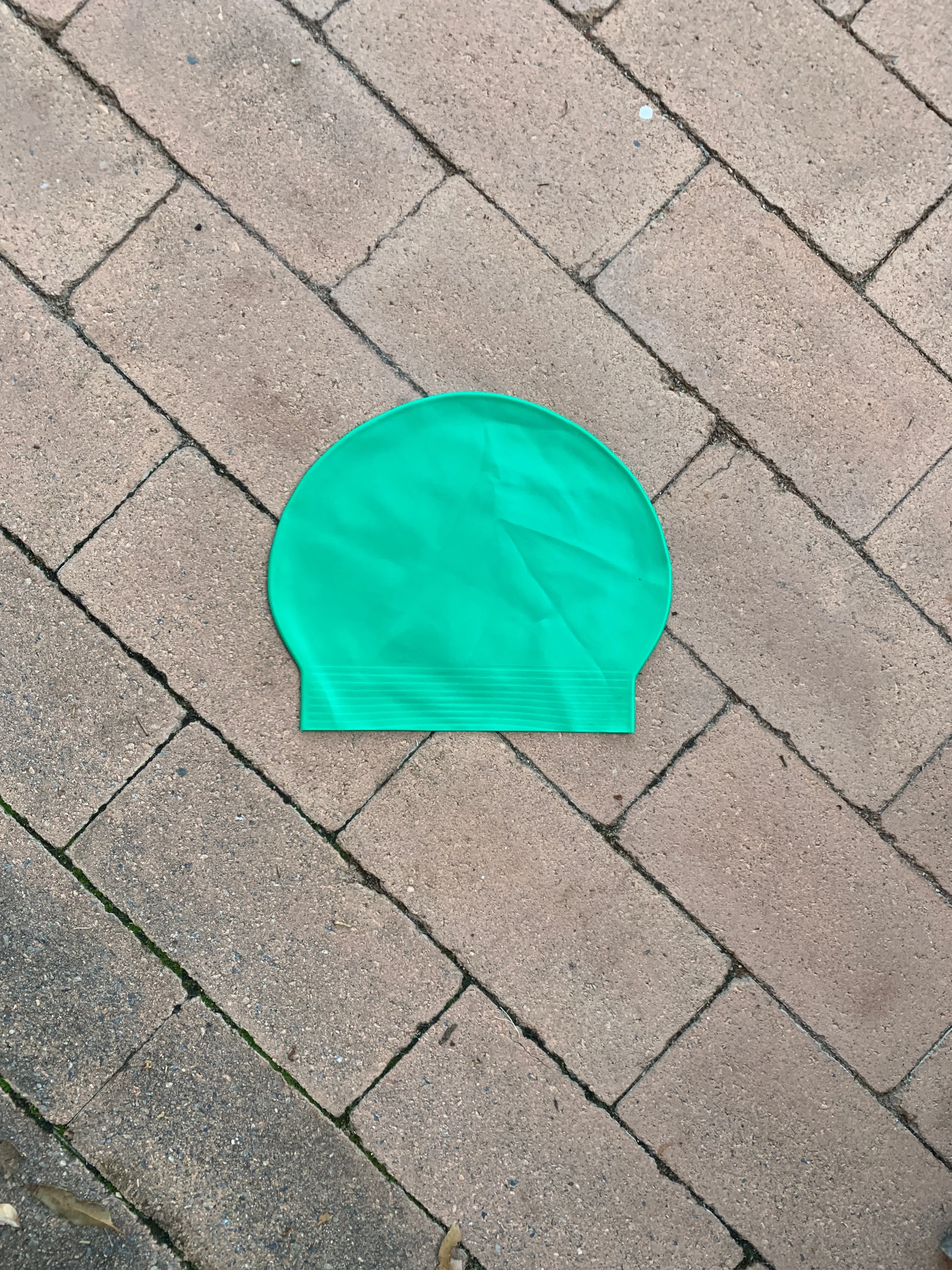 House Colour Swim Cap