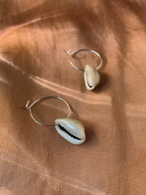 Seashell Earrings